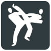Taekwondo tijdens de Olympische Spelen 2016